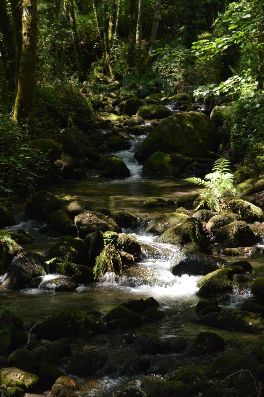 Olar De Rabacallos Luaran gambar